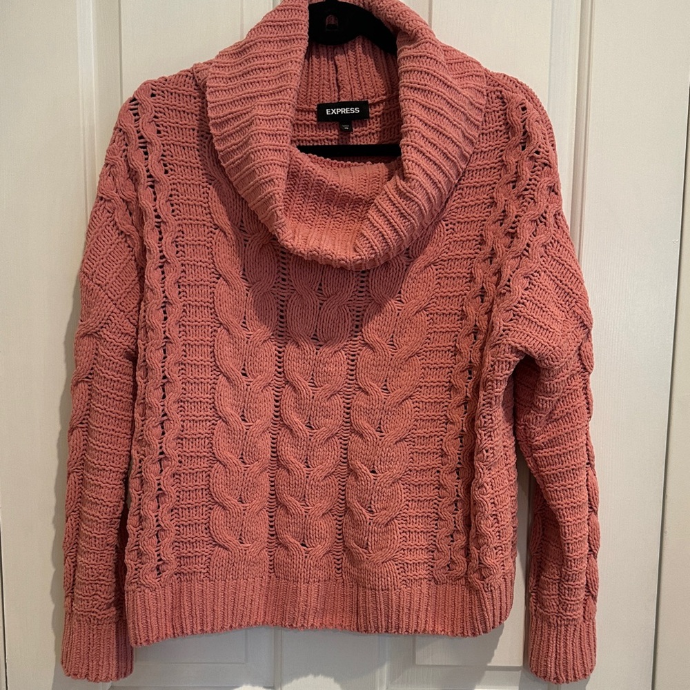 Express Women's Dusty Rose Cable Knit Turtleneck Sweater